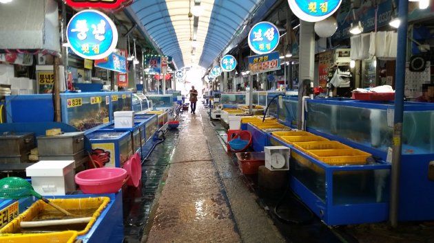 馬山魚市場内の魚屋
