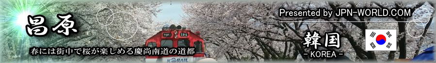 春には街中で桜が楽しめる慶尚南道の道都「昌原（チャンウォン）」