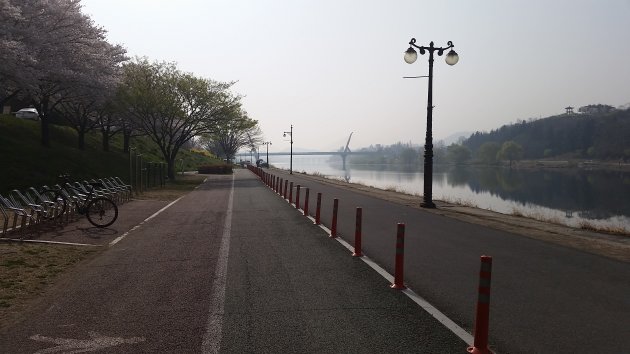 峨洋橋桜並木通りにある駐輪場