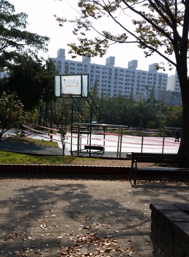 コブッ公園内にあるバスケットゴール