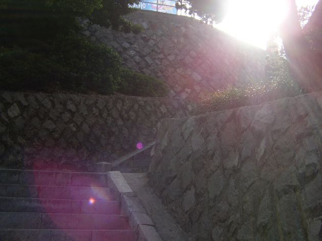 龍頭山公園へ向かう階段（あと、もう一息；；）