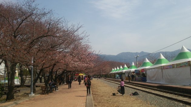 桜が咲いていない慶和駅の風景