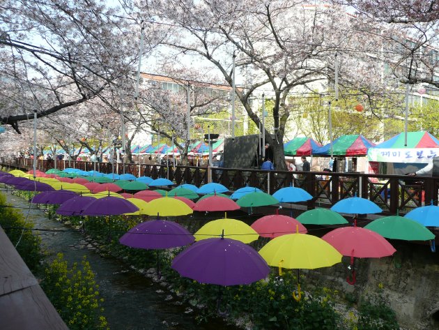 傘で装飾された余佐川