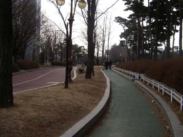 汝矣島公園（ヨイドパーク）の散歩道と自転車道路