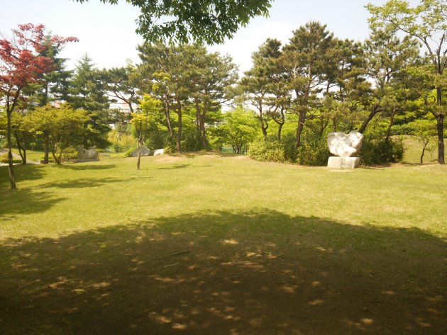 孝園公園の芝生